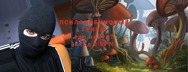 молекула духа Покачи