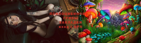 спайс Валдай