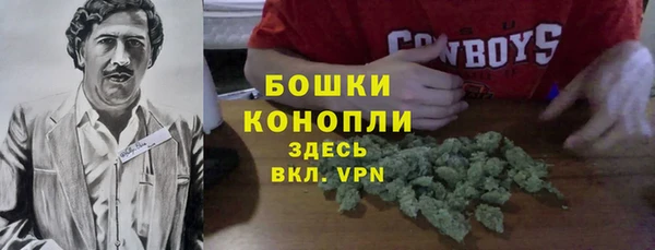 молекула духа Покачи
