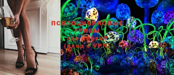 индика Покровск