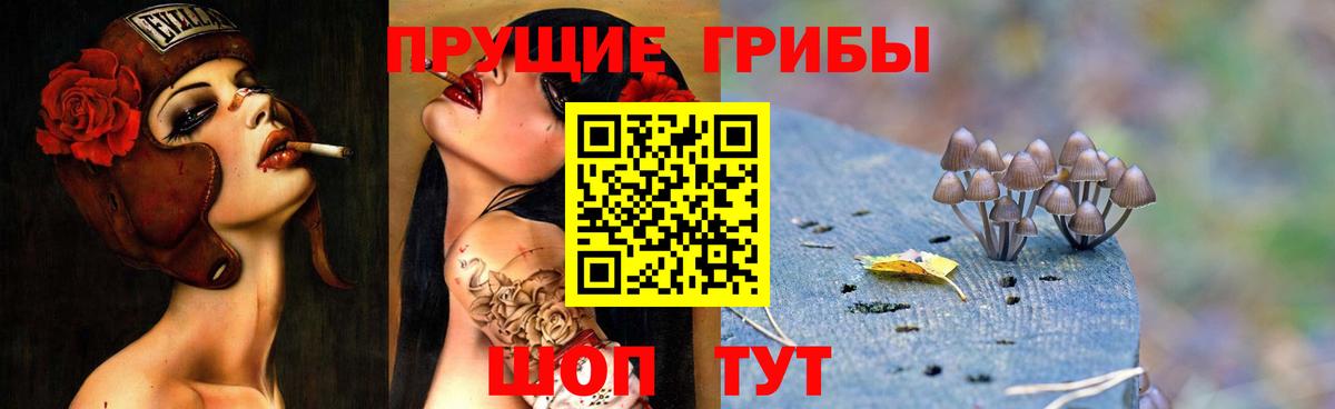 Галлюциногенные грибы прущие грибы Новосибирск