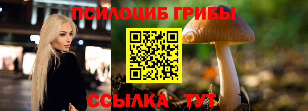 Псилоцибиновые грибы GOLDEN TEACHER Новосибирск